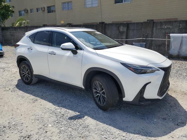 Lexus NX 350 Premium 2024